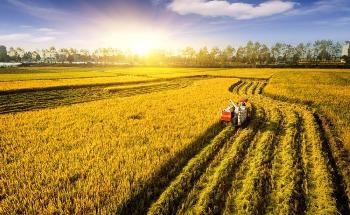 Future-Proofing Food Crops in a Warming Climate