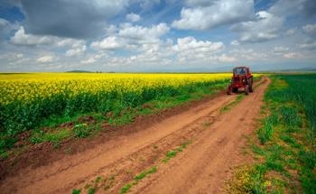 Making Degraded Farmland Green Again with Soil and Water Conservation Solutions