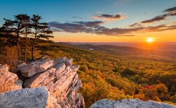 Converting Coal Mines into Carbon Sinks to Reestablish Habitats and Protect the Environment