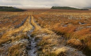 Reducing Fire Risks and Emissions with Peatland Restoration