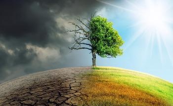 IPCC: Fossil Fuel and Industry CO2 Emissions Growth Rates