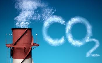 The Future of Global Carbon Capture and Storage