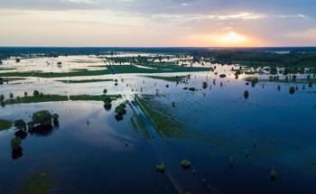 The Methods and Benefits of Flood Monitoring