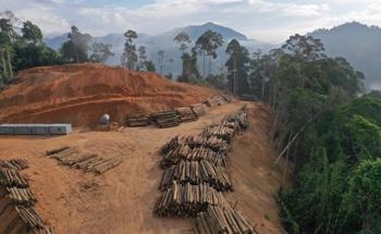 How Amazon Deforestation Impacts Earth