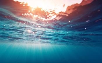 Using Bacteria to Convert Sunlight into Electricity