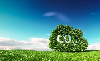 Thermodynamics of Electrochemically Synthesized C-Nucleophiles for Reactive CO2 Capture