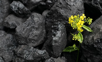 What is Clean-Coal Technology?