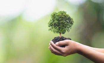 Accelerating Biodiversity and Conservation with Innovative Ecosystems