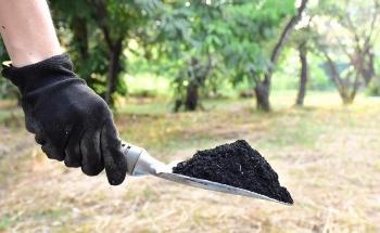 Elemental Analysis of Biochar to Improve Soil Quality