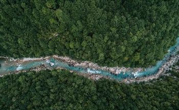 Global Tree Restoration and its Impact on Regional Water Availability