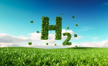 Introducing the World's Largest Green Hydrogen Integrated Project