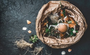 How Could Organic Waste Management Infrastructure Help Mitigate Climate Change?