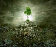 Turning Waste Into Biomass