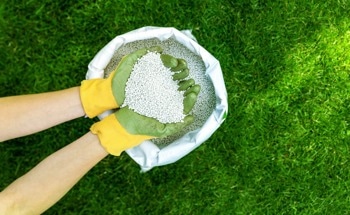 An Overview of Sustainable Fertilizer Developments