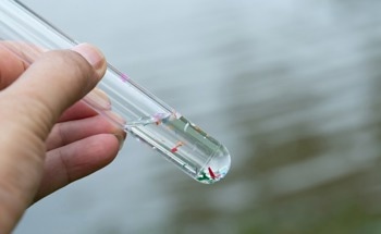 Latest Research in Microplastic Pollution: What Does the Future Hold?