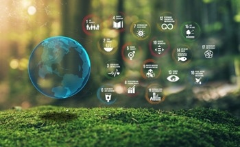 The 17 Sustainable Development Goals