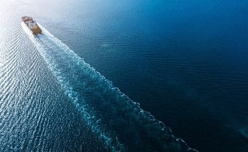 What is the High Seas Treaty and How Will It Impact Ocean Conservation?