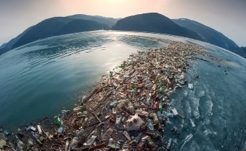 Carbios: The Future of the World’s First PET Biorecycling Plant