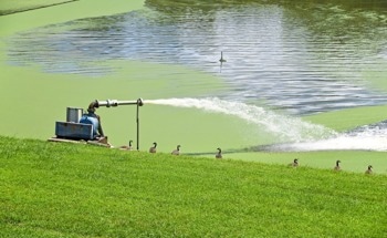 Elemental Analysis in Water Quality Management: Ensuring Safe and Clean Drinking Water