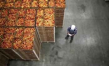 Recent Sustainable Food Technology Advancements