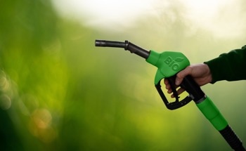 The Roadmap to Transport Decarbonization