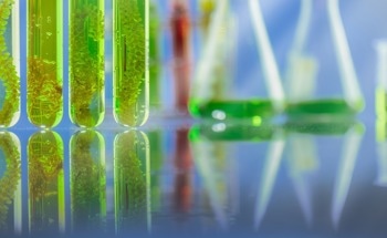 Algae Biofuel: Potential, Challenges, and Innovations