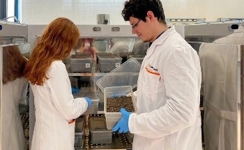 Understanding the Environmental Impact of Plastics Biodegradation