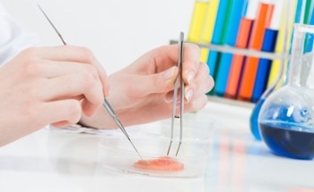 The Ultimate Guide to Biomaterials for a Sustainable Future