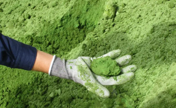 What Causes Powder Caking?