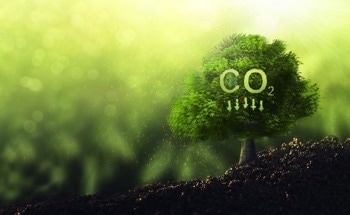 What is the Difference Between Carbon Storage and Sequestration?