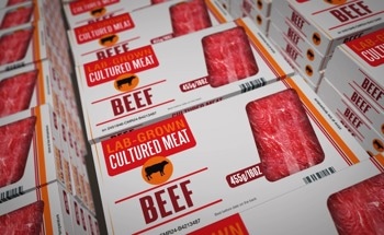 Is Lab-Grown Meat Really Better for the Environment?