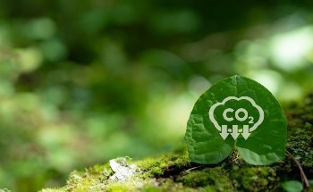 Transforming Carbon Capture Research With Precision Sorption Analysis