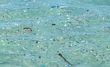 What Happens to Microplastics in the Ocean?