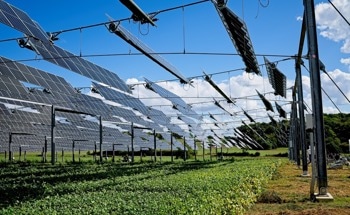 What are the Key Benefits and Challenges of Agrivoltaics?