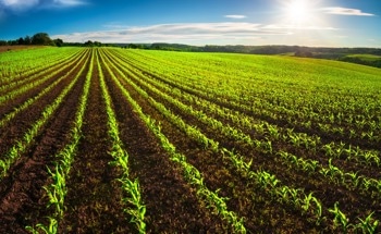 How Carbon Credit Incentives Are Making Sustainable Farming a Reality