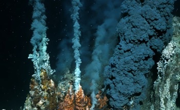 Deep-Sea Mining Explained: Emerging Industry or Environmental Disaster?