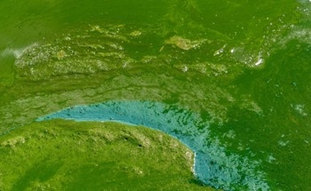 Tracking Nitrate Pollution Sources with Automated Triple-Isotope Analysis