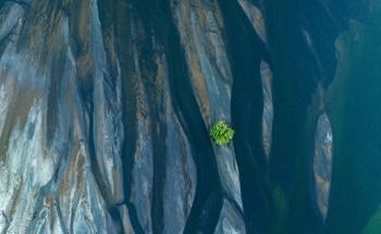 From Marine Heatwaves to Carbon Markets: 10 Critical Climate Science Insights for 2025/26