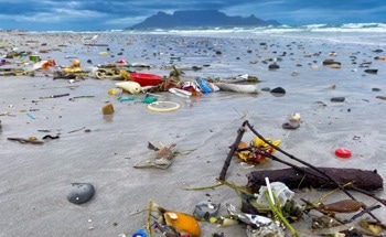 How Does Ocean Hypoxia Affect Microplastic Absorption and Ingestion?