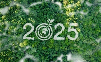 The Biggest Sustainability Stories of 2025