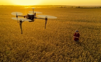 How is Precision Agriculture Used in Sustainable Farming?