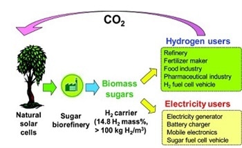 Transportation Fuel Independence Would Be Achieved by High-Efficiency Sugar Fuel Cell Vehicle (SFCV)