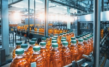 Balancing Food Safety and Sustainability in Food Processing Systems