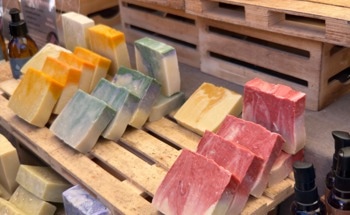 How Are Sustainable Ingredients Transforming the Cosmetics Industry?