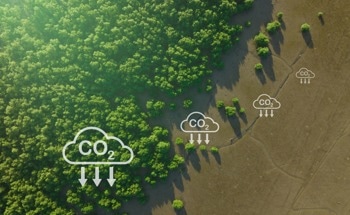 How CSIRO Built Australia’s CCS Capability: A 25-Year Story