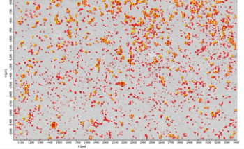 Microplastics Analysis Using FTIR Imaging