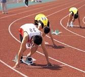 Going for Green: How Sustainable are the London 2012 Olympics?