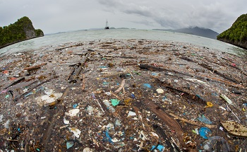 What is The Great Pacific Garbage Patch?