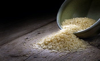 How To Stop A World Food Crisis with Advanced Plant Nutrition