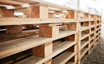 The Growing Need for Sustainable Pallet Materials
